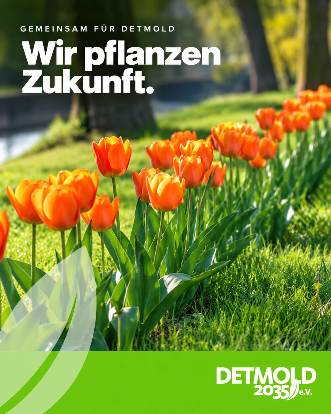 Original-Beitrag Detmold 2035 e. V.: orangefarbene Tulpen im Park, „Gemeinsam für Detmold“, Headline „Wir pflanzen Zukunft.“, grünes Logo-Band