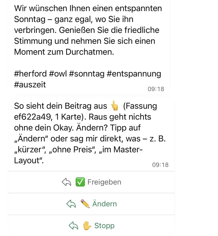 Chat-Ausschnitt: Beitragstext mit Hashtags, Hinweis „So sieht dein Beitrag aus“ und die Knöpfe Freigeben, Ändern, Stopp.