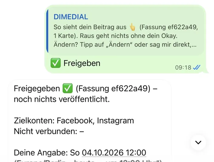 Chat-Ausschnitt: Antwort „Freigeben“ und Robbies Bestätigung „Freigegeben – noch nichts veröffentlicht. Zielkonten: Facebook, Instagram“.