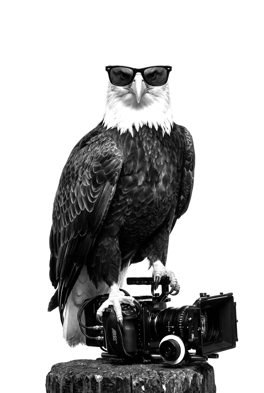 Adler mit Sonnenbrille und Filmkamera