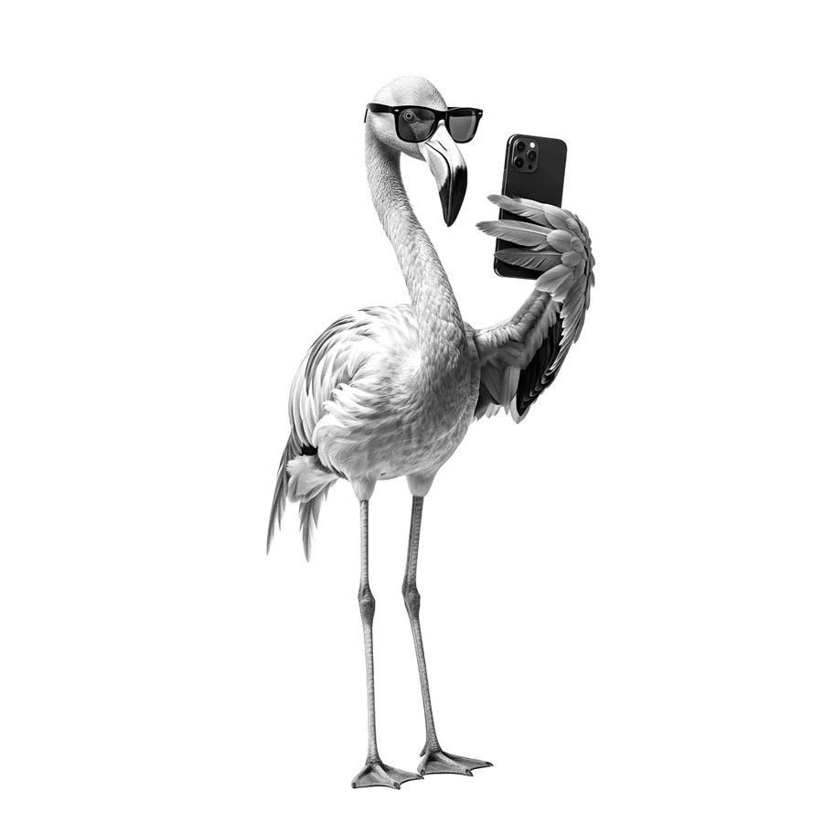 Flamingo mit Sonnenbrille macht ein Selfie mit dem Smartphone