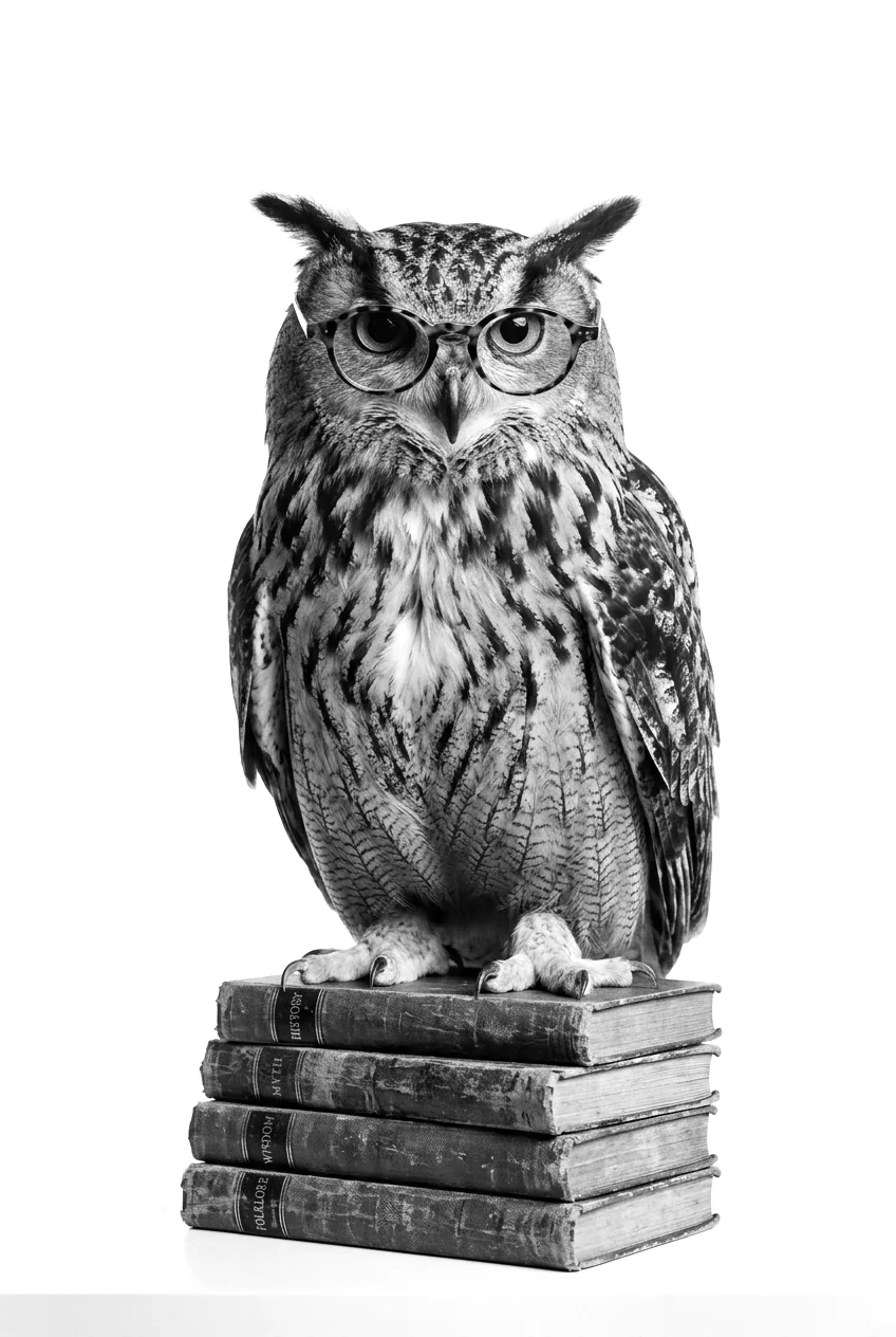 Weiser Uhu mit Brille auf einem Bücherstapel